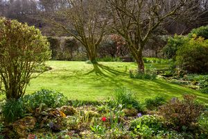 Garden (2)- click for photo gallery